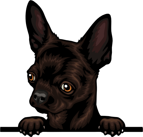 (s356-07-9U)  Peeking Chihuhua