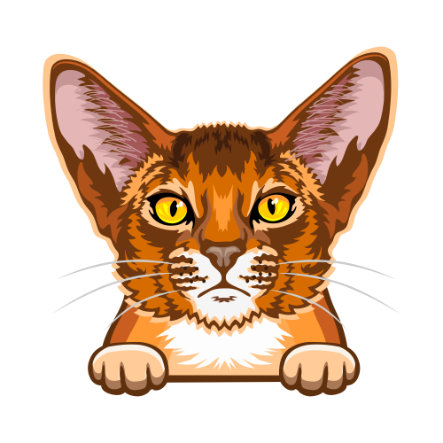 (s356-09-A) Peeking Cat