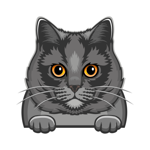 (s356-09-B) Peeking Cat