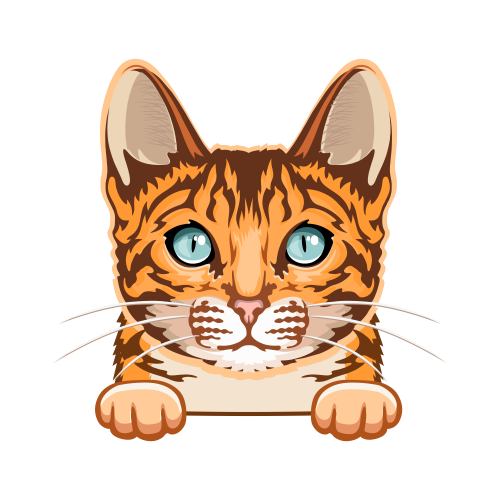 (s356-09-D) Peeking Cat