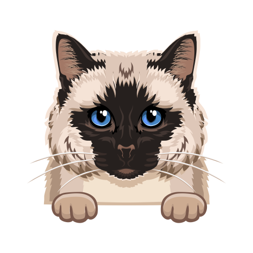 (s356-09-E) Peeking Cat