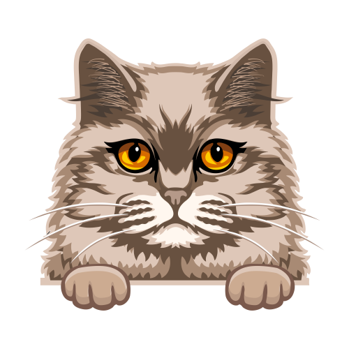 (s356-09-F) Peeking Cat