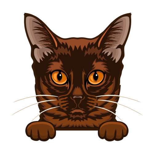 (s356-09-G) Peeking Cat