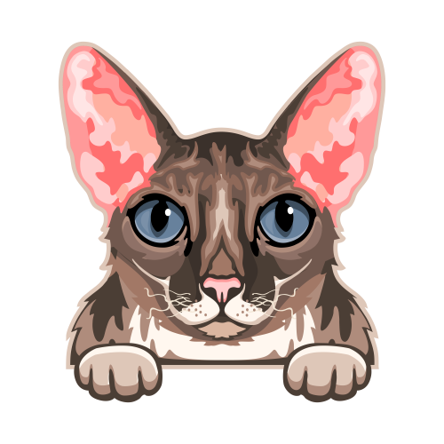 (s356-09-H) Peeking Cat