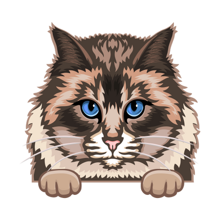 (s356-9-J) Peeking Cat