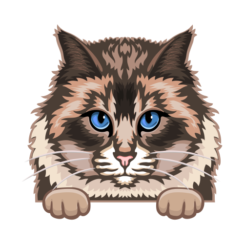 (s356-9-J) Peeking Cat