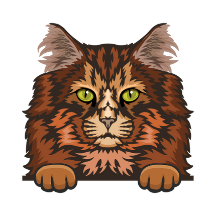 (s356-9-L) Peeking Cat