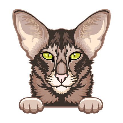 (s356-9-M) Peeking Cat