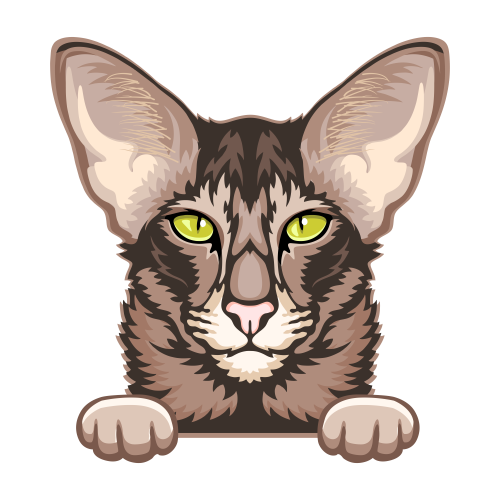 (s356-9-M) Peeking Cat