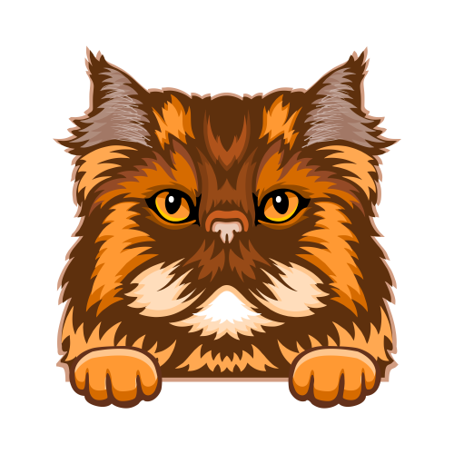 (s356-9-N) Peeking Cat