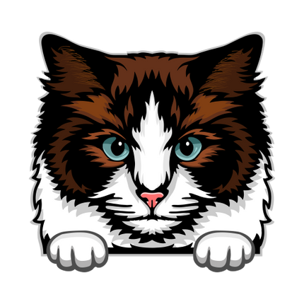 (s356-9-O) Peeking Cat