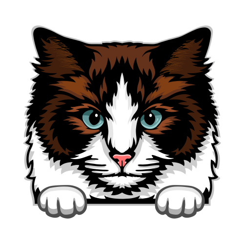 (s356-9-O) Peeking Cat