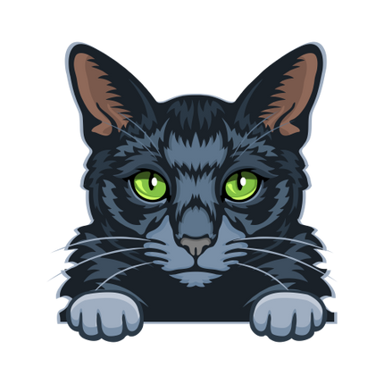 (s356-9-P) Peeking Cat