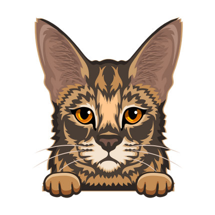 (s356-9-Q) Peeking Cat