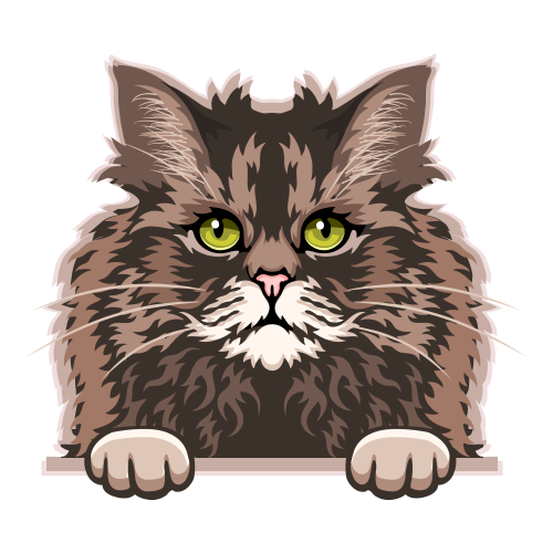 (s356-09-T) Peeking Cat