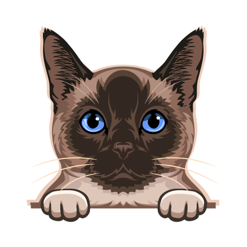 (s356-09-U) Peeking Cat