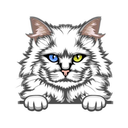 (s356-09-Y) Peeking Cat