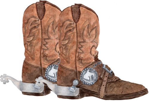 (s036-3-C) Cowboy Boots