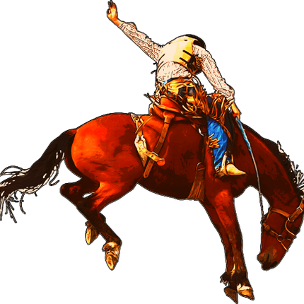 (s036-3-H) Cowboy Rodeo