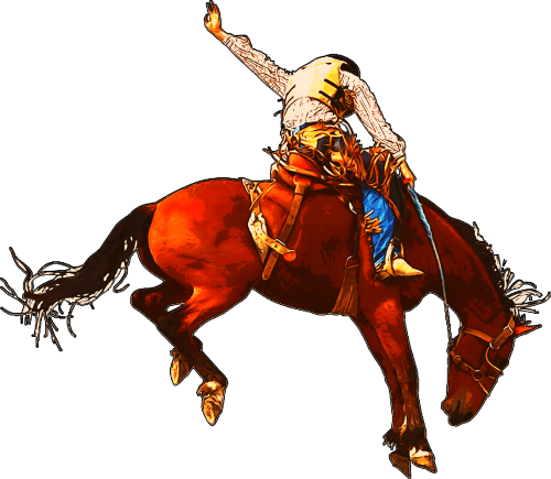 (s036-3-H) Cowboy Rodeo