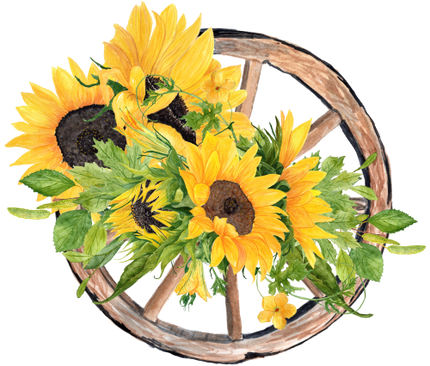 (s036-3-N2) Wagon Wheel with Sunflowers