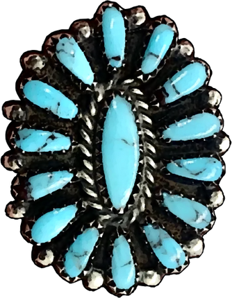 (s036-3-P) Turquoise Gemstone