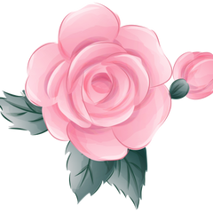 Collection image for: (s361)