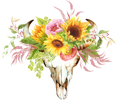(s374-D) Cow Skull Sunflowers
