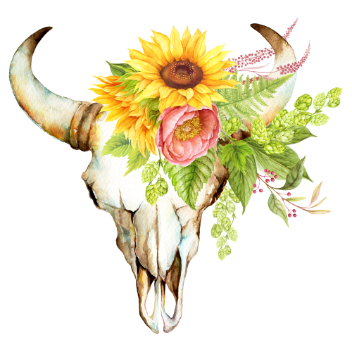 (s374-E) Cow Skull Sunflowers