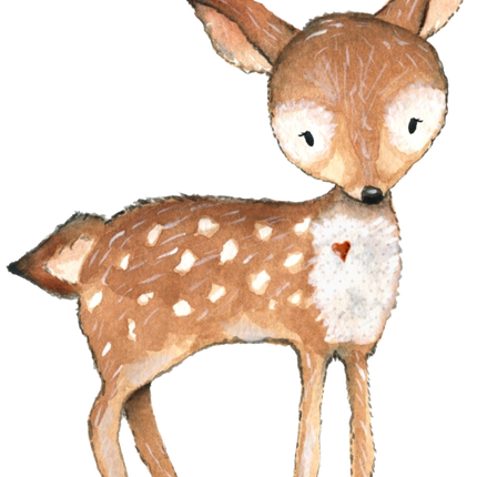 (s379-1-B) Deer