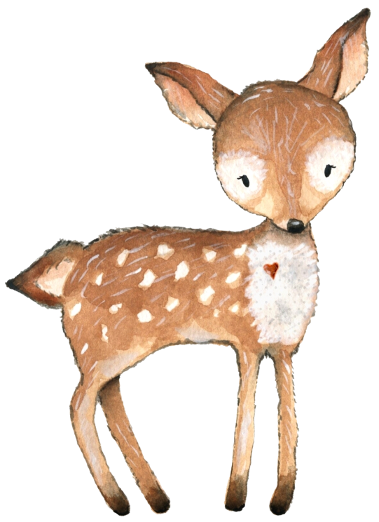 (s379-1-B) Deer