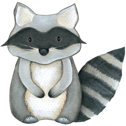 (s379-1-D) Racoon