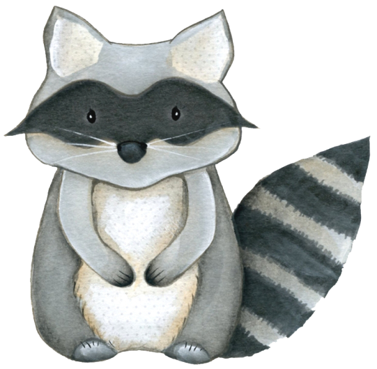 (s379-1-D) Racoon