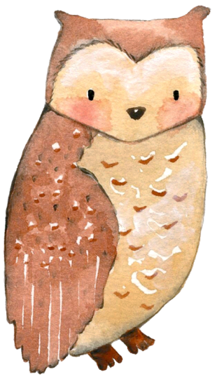 (s379-1-E) Owl
