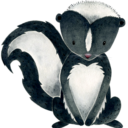 (s379-1-H) Skunk