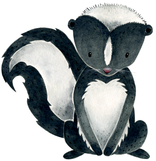 (s379-1-H) Skunk