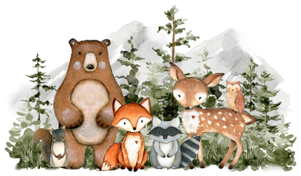 (s379-1-K) Forest Woodland Animals Group