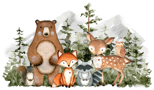 (s379-1-K) Forest Woodland Animals Group