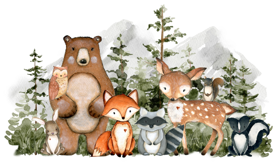 (s379-1-L) Forest Woodland Animals Group