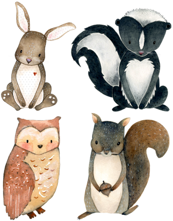 (s379-G2) Set of 4 Forest Animals Rabbit Hare Skunk Owl Squirrel