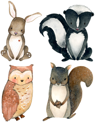 (s379-G2) Set of 4 Forest Animals Rabbit Hare Skunk Owl Squirrel