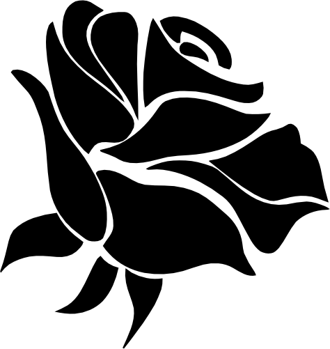 (038-01-1B) Roses Rose Flowers