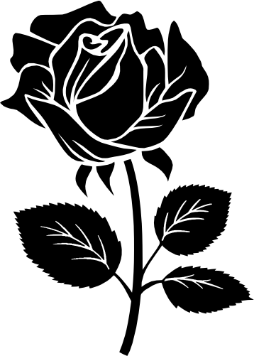 (038-01-1C) Roses Rose Flowers