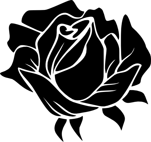 (038-01-1D) Roses Rose Flowers