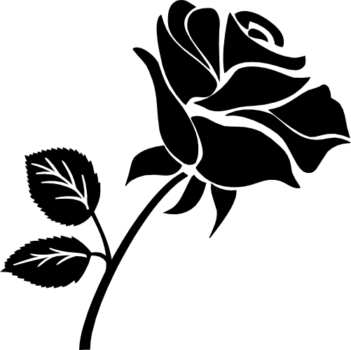 (038-01-1A) Roses Rose Flowers