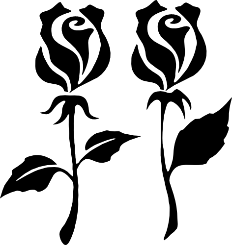 (038-01-1I) Set of 2 Long Stem Roses Rose Flowers