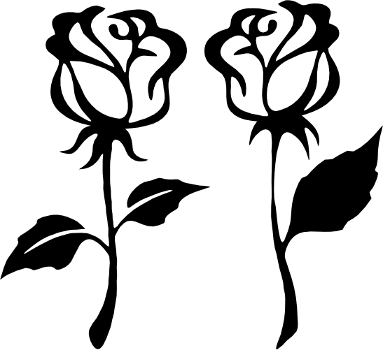 (038-01-1I) Set of 2 Long Stem Roses Rose Flowers