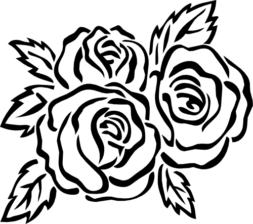 (038-01-1G) Roses Rose Flower