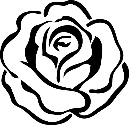 (038-01-1H) Roses Rose Flower