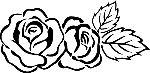 (038-01-1E) Roses Rose Flower